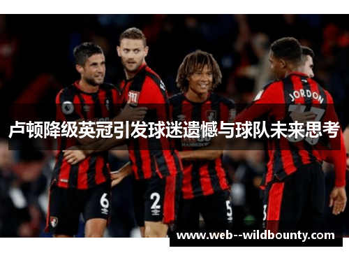 卢顿降级英冠引发球迷遗憾与球队未来思考 卢顿降级英冠引发球迷遗憾与球队未来思考