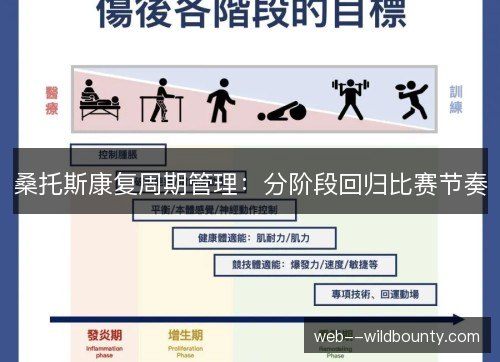 桑托斯康复周期管理：分阶段回归比赛节奏
